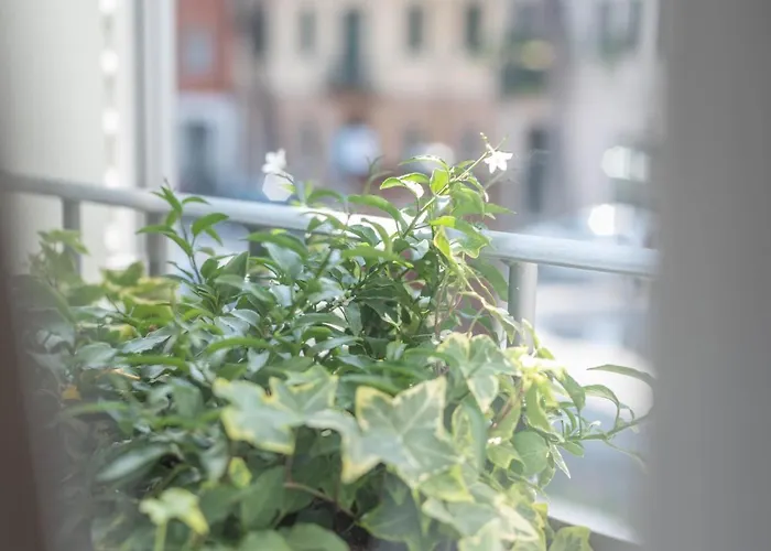 Le Di Olivia Pensionat 3*