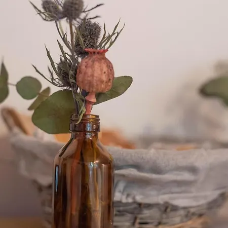 Le Di Olivia ראבנה