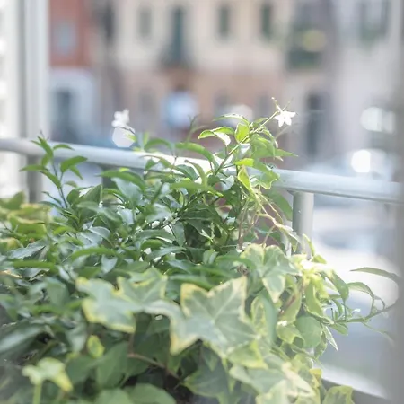 Le Di Olivia בית הארחה 3*