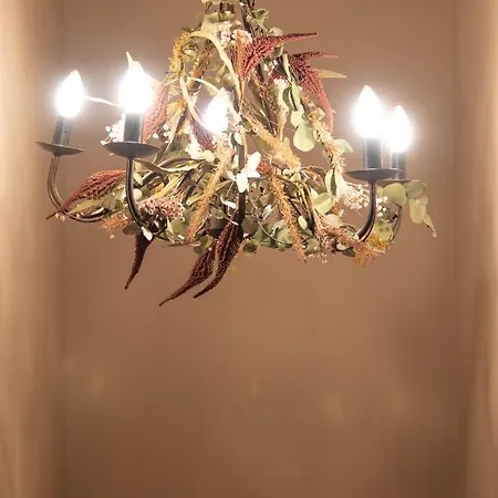 בית הארחה Le Di Olivia 3*