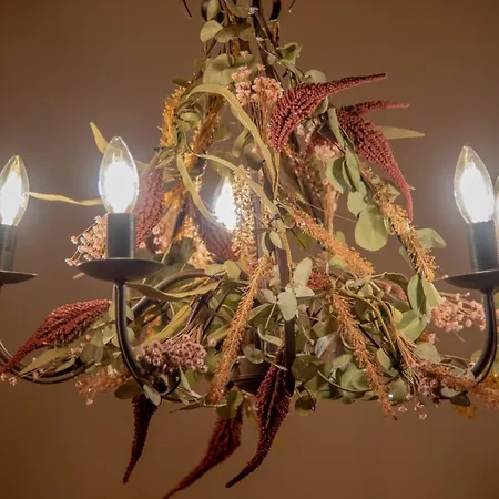 Le Di Olivia 拉文纳