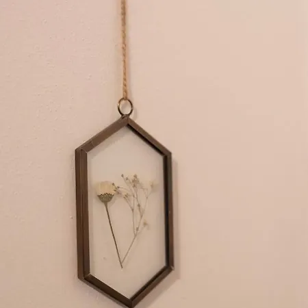 Le Di Olivia ראבנה