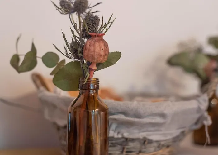 Le Di Olivia رافيننا