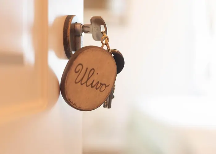 게스트하우스 Le Di Olivia