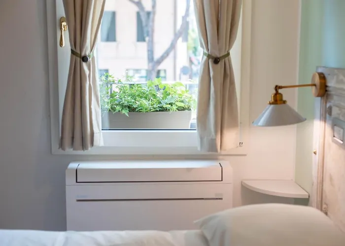 Le Di Olivia 라벤나