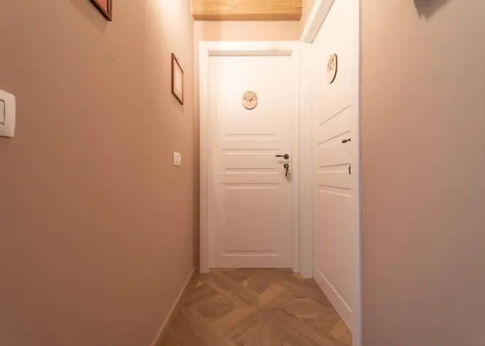 Le Di Olivia 게스트하우스