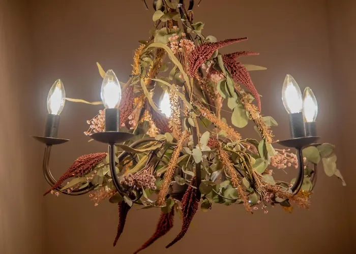 Le Di Olivia 라벤나