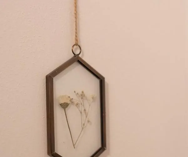 Le Di Olivia 라벤나